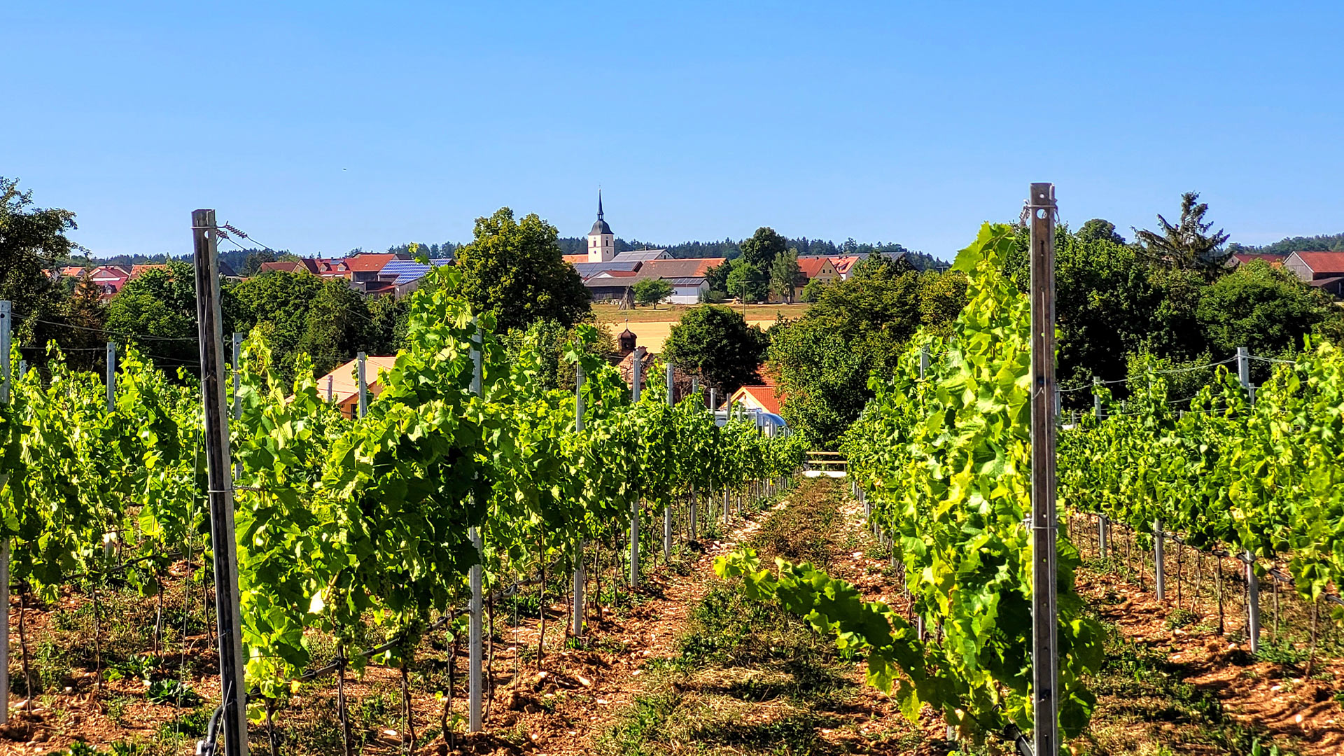 bleimer schloss © naturpark altmühltal