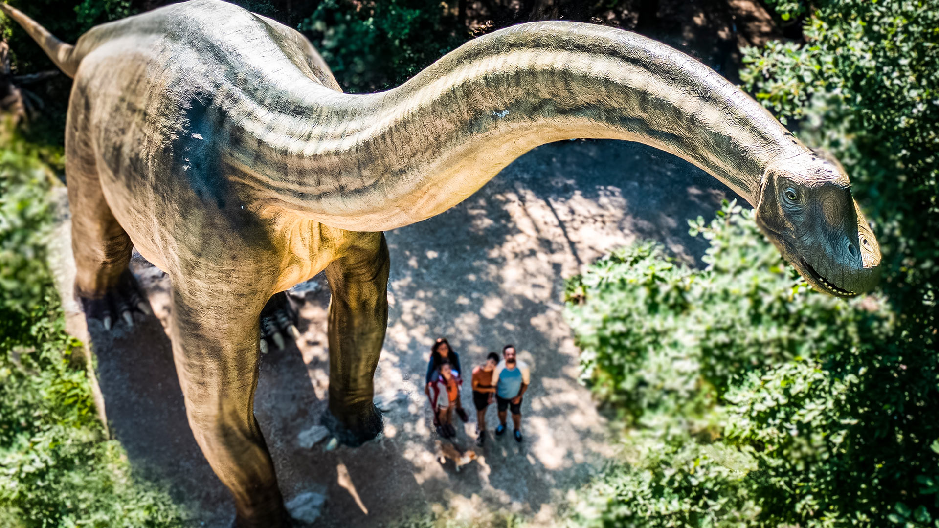 dinosaurier museum altmuehltal©naturpark altmühltal