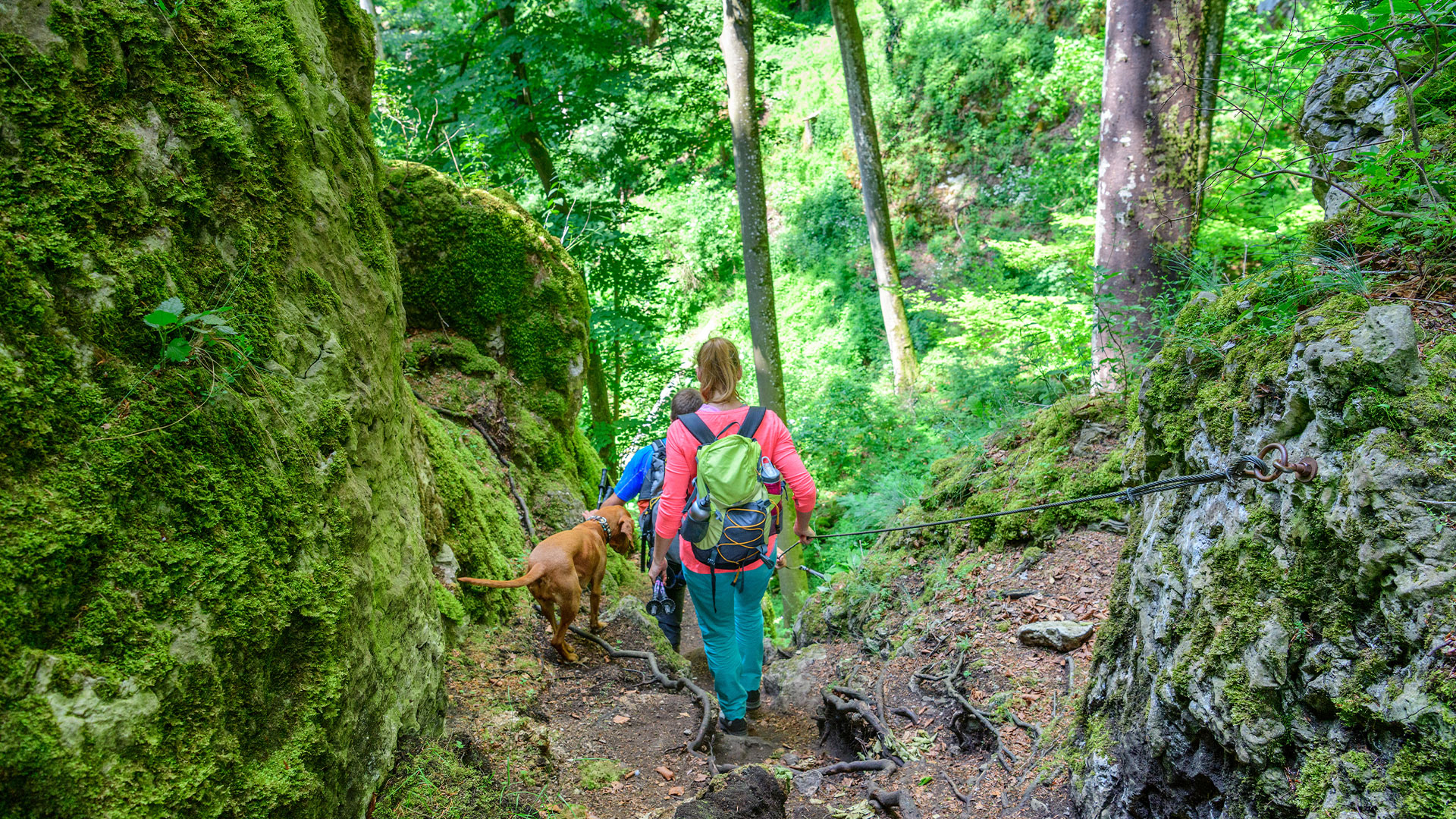 jägersteig konstein ©naturpark altmühltal